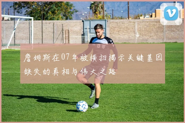 詹姆斯在07年被横扫揭示关键基因缺失的真相与伟大之路